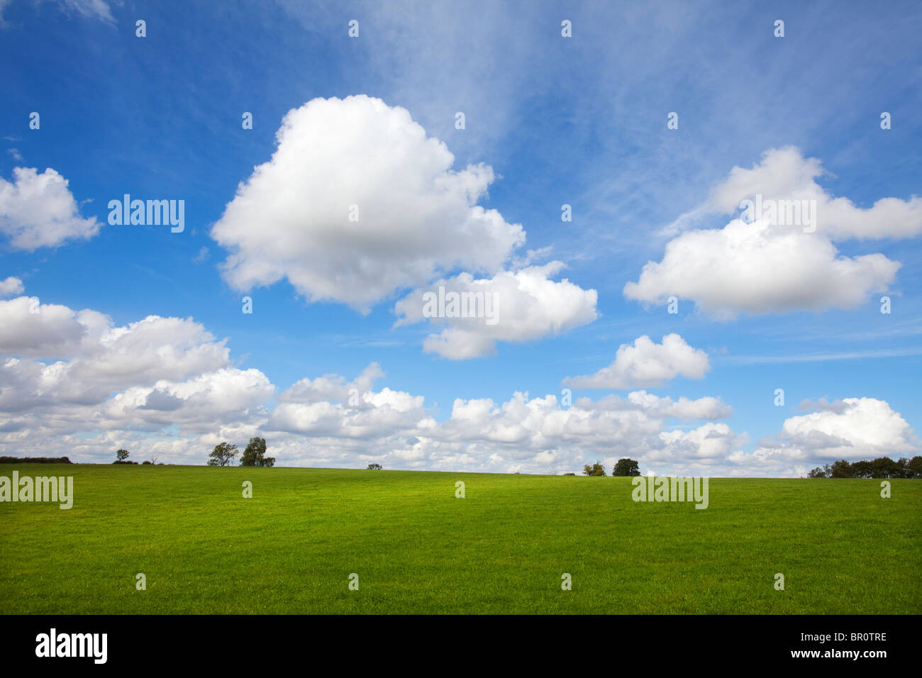 Cielo azul y las nubes blancas sobre un campo verde en Leicestershire, REINO UNIDO Foto de stock