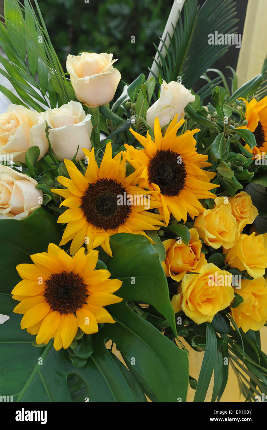 Significado de las rosas fotografías e imágenes de alta resolución - Alamy Significado de las rosas fotografías e imágenes de alta resolución - Alamy