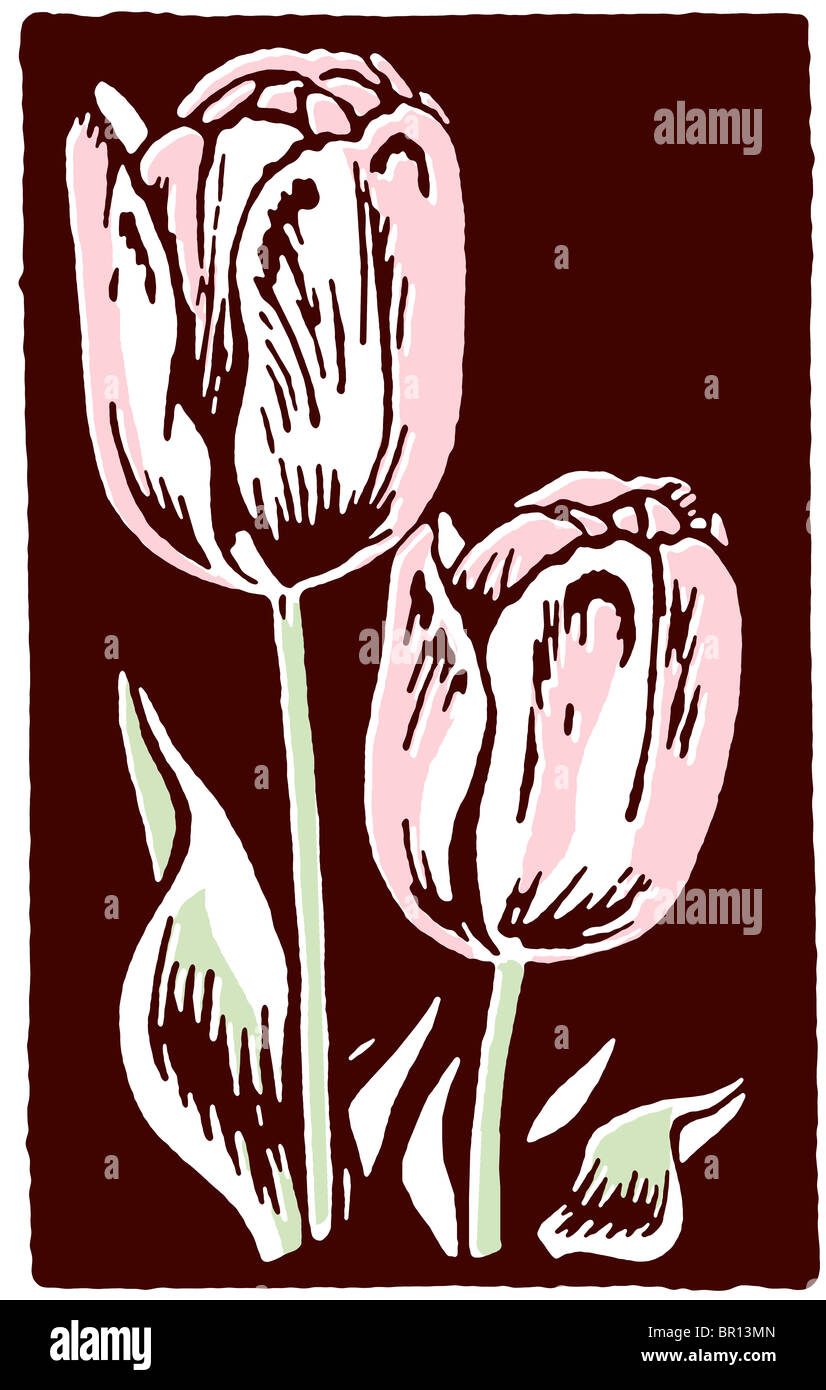 Impresión de una vendimia de tulipanes Foto de stock