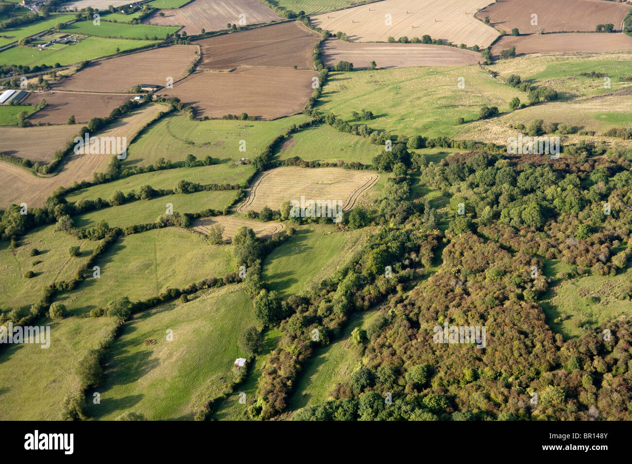 Campo típico inglés - pequeños campos, setos y bosques en los Cotswolds NE de Winchcombe, Gloucestershire, Reino Unido Foto de stock