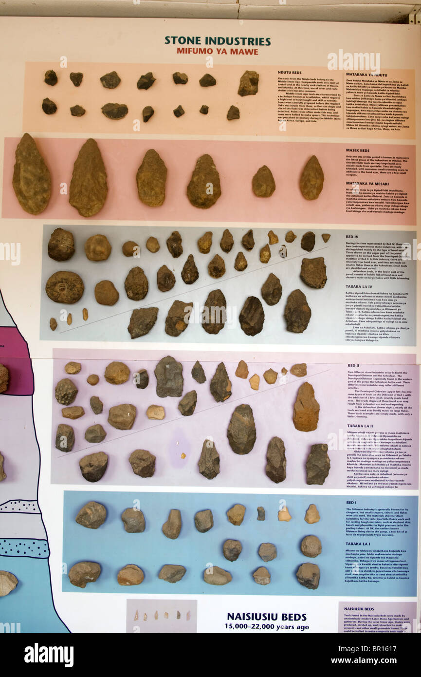 Las herramientas de la edad de piedra muestra en el museo de Olduvai Gorge, el Área de Conservación de Ngorongoro, Tanzania Foto de stock
