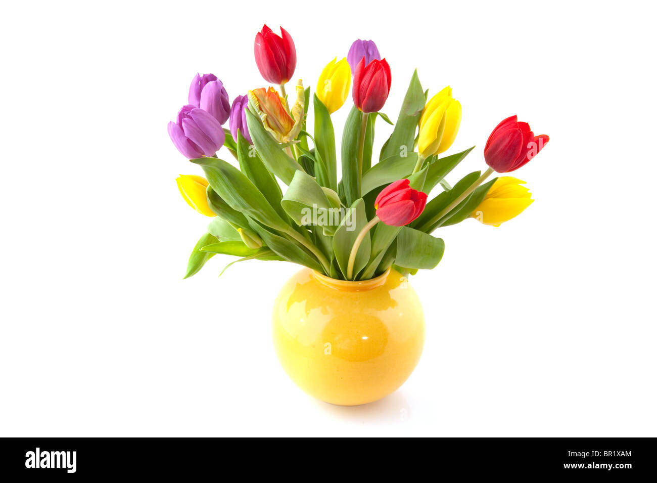 Colorido Ramo de tulipanes en florero amarillo Foto de stock