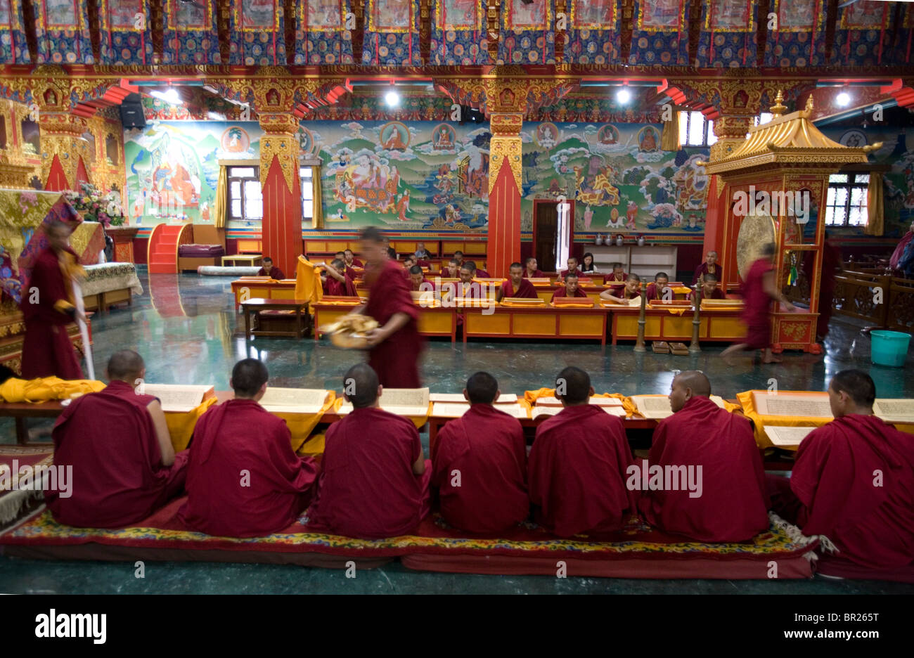 Académicos tibetanos a Vidhya Instituto vajra, Sarnath, Uttar Pradesh, India. Foto de stock