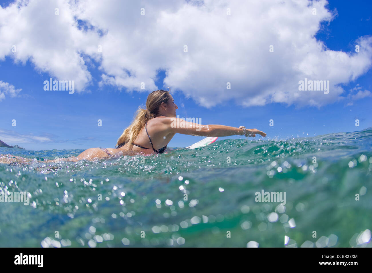 Chica remando de surf Foto de stock