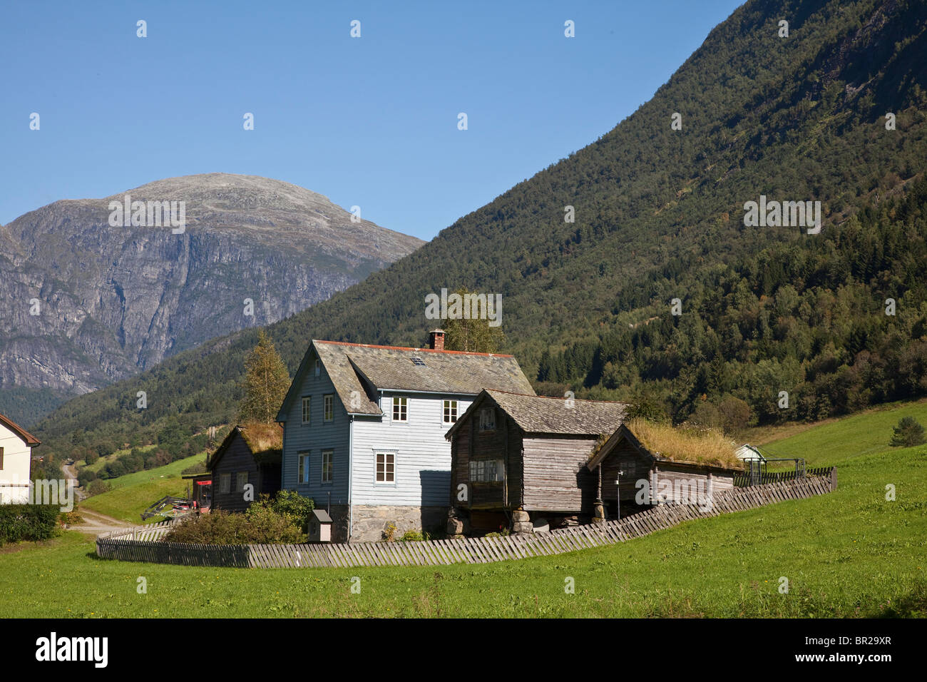 Los edificios de la granja alpina, Olden, Noruega, exuberantes y verdes pastos Foto de stock