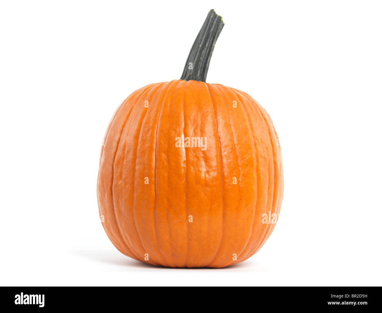 Pumpkin aislado sobre fondo blanco. Foto de stock