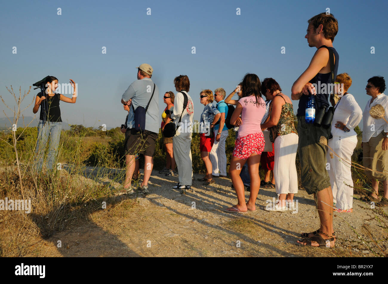 Visita guiada de ornitología en una reserva natural, Grecia, Peloponnes, Messinien Foto de stock