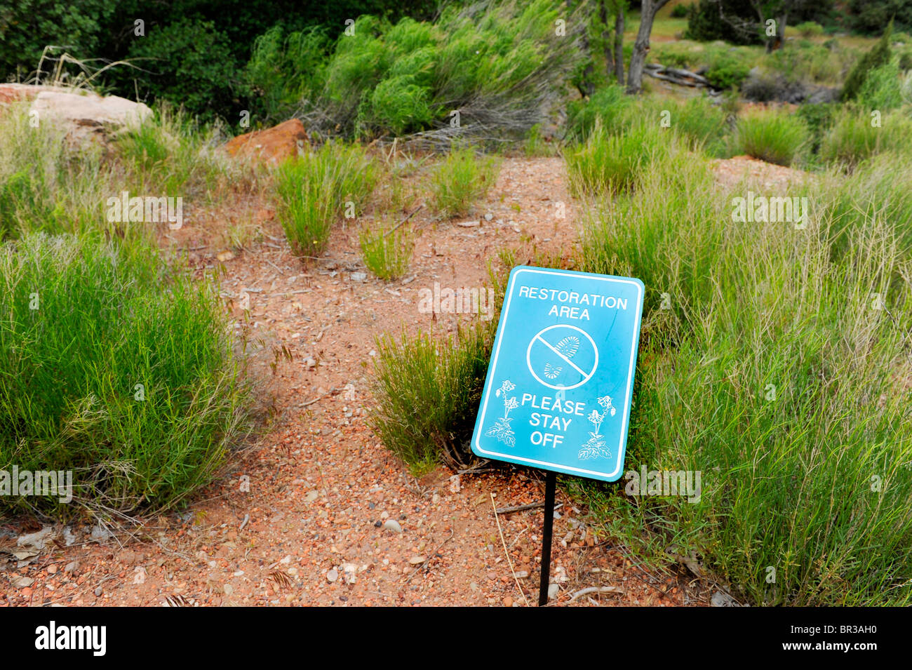 Área de restauración firmar Mount Zion National Park Utah Foto de stock