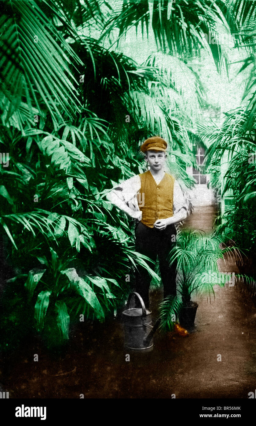 Fotografía Histórica, jardinero en un invernadero, alrededor de 1921 Foto de stock