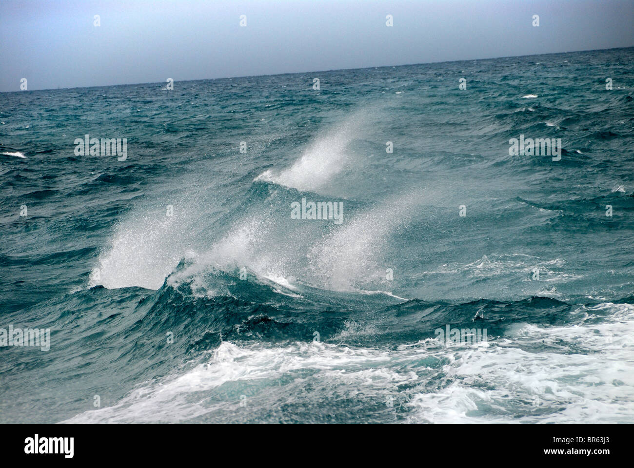 Rompiendo las olas oceánicas Foto de stock