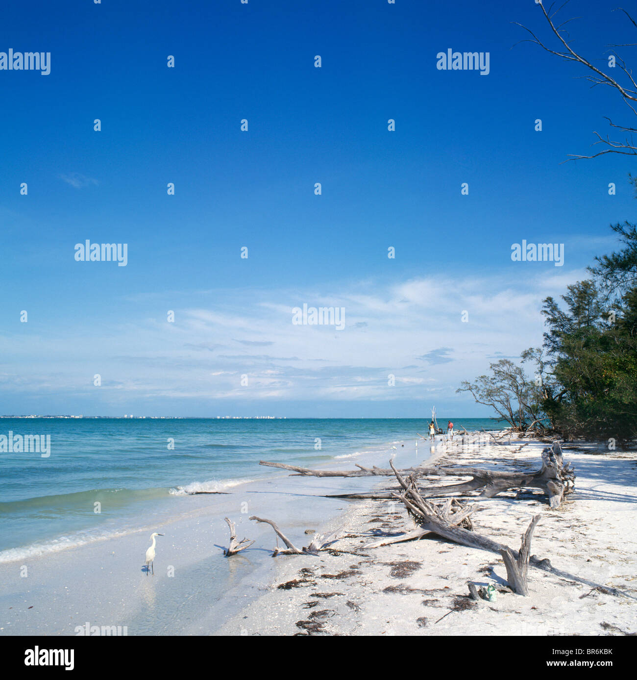 Lighthouse Beach, Sanibel Island, Gulf Coast, Florida, EE.UU. Foto de stock