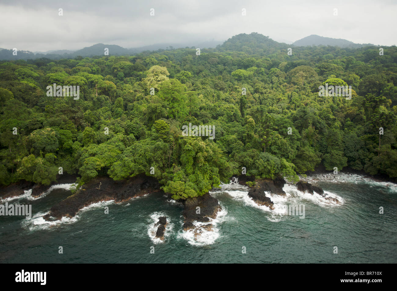 Vista aérea de la bóveda de la selva tropical en la costa sur de la isla de Bioko, Guinea Ecuatorial, Africa Central. Enero de 2008 Foto de stock