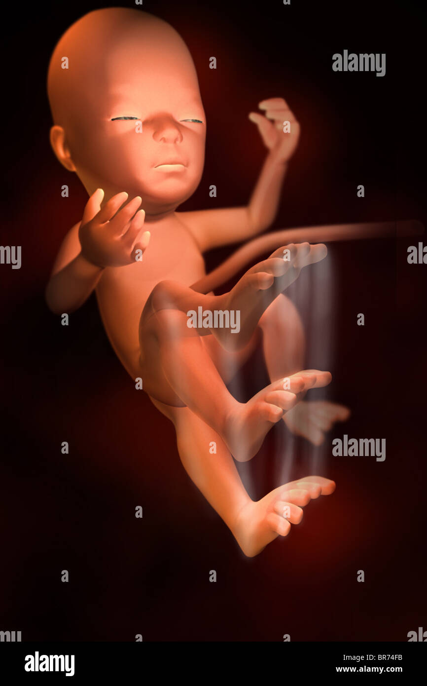 Esta muestra de imágenes médicas 3D el feto en la semana 28. El bebé comienza a moverse "kick". El movimiento se representa visualmente. Foto de stock