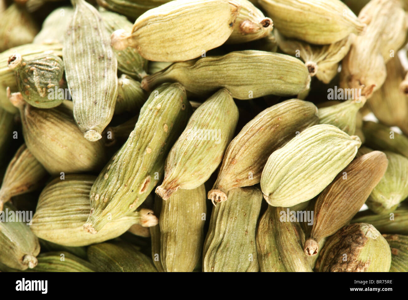 Las semillas de cardamomo cerrar . Foto de stock