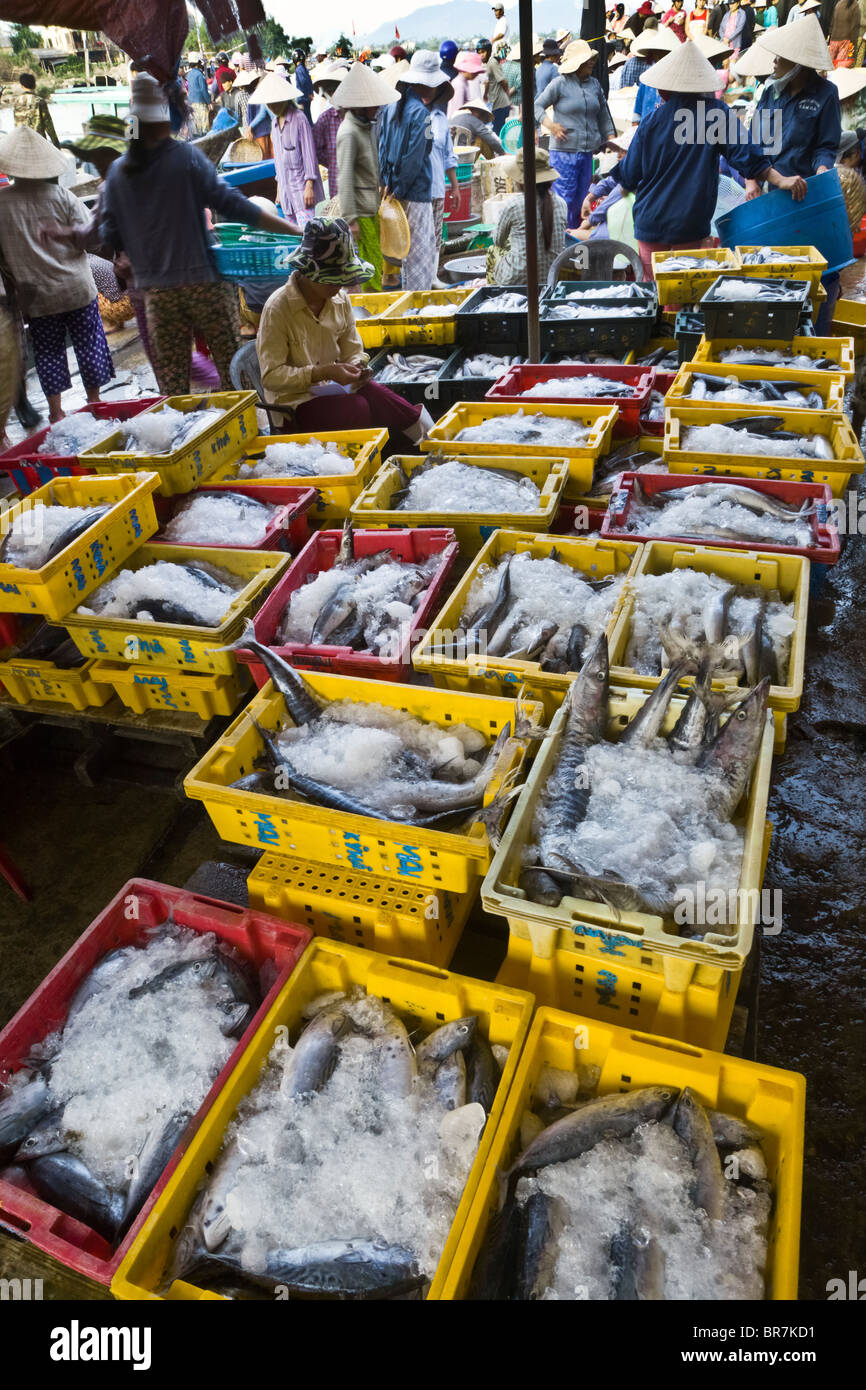 Vietnam, Hoi An, mañana, mercado de pescado, pescado cubierto con hielo en cestas de plástico Foto de stock