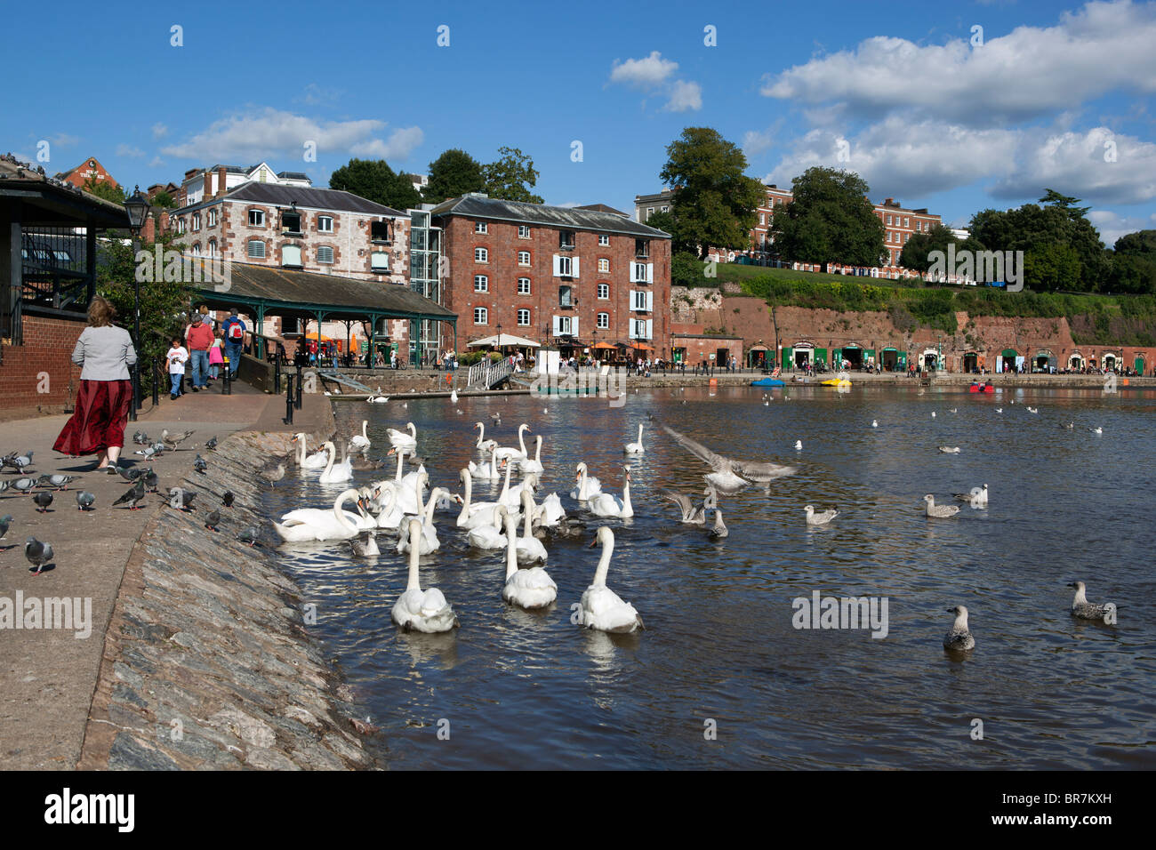 La zona de Quayside y el Río Exe en Exeter Foto de stock