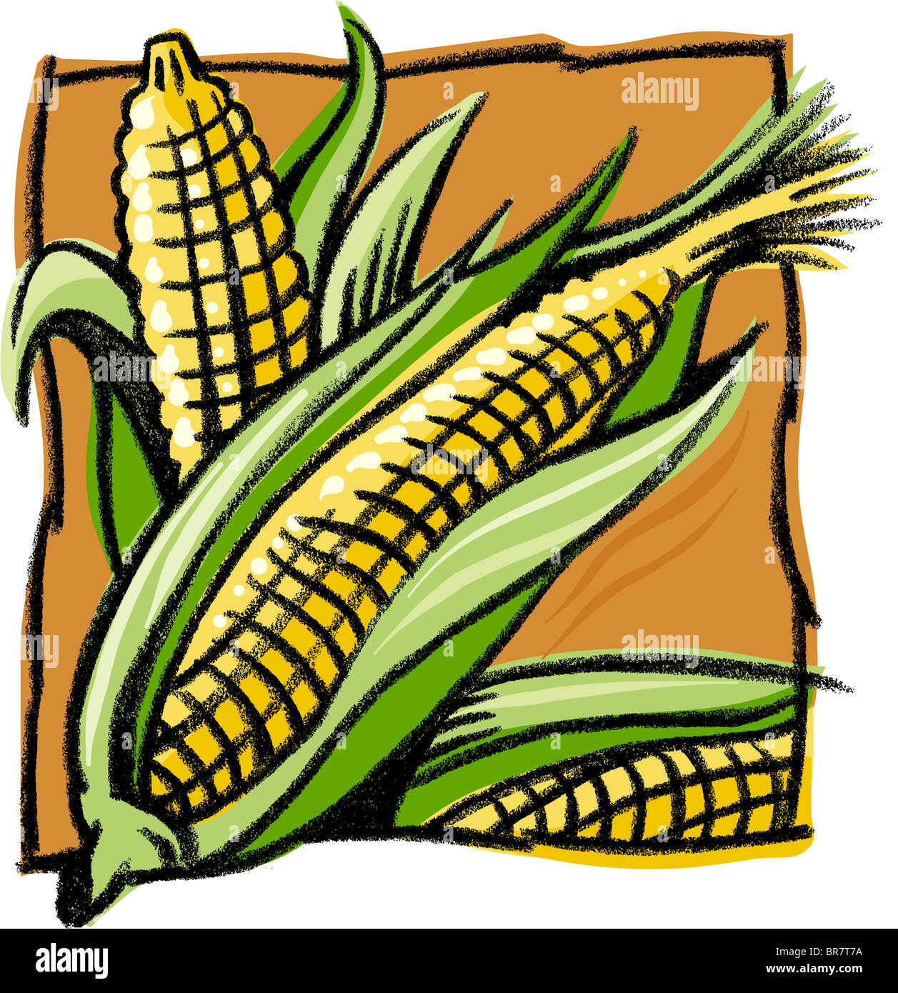 Un dibujo de maíz Fotografía de stock - Alamy