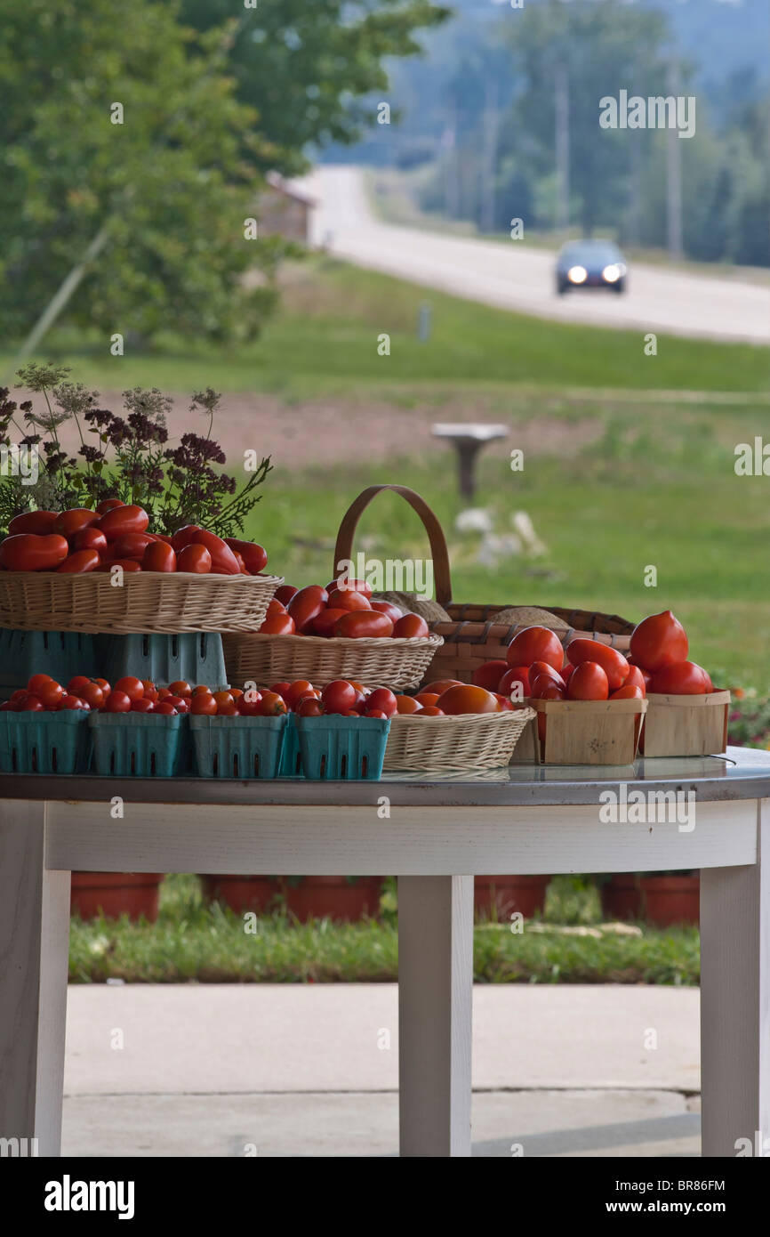 Mercado de agricultores en Michigan mi canasta con tomates rojos en EE.UU.  la temporada de verano Fotografía de stock - Alamy