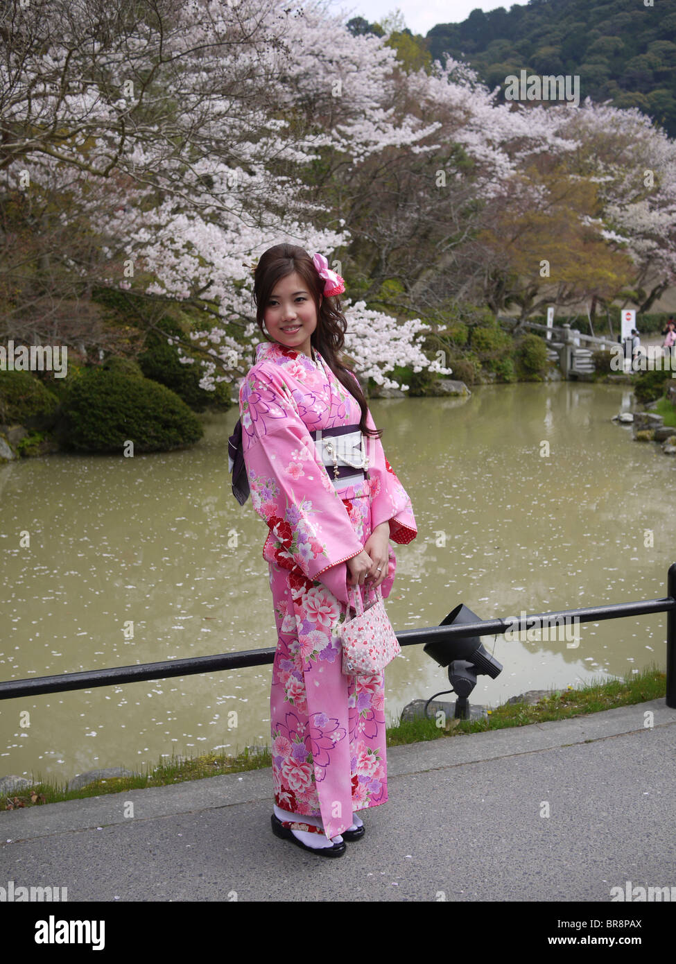 Japón, Honshu, Kyoto, Kiyomizu-Dera templo, mujer japonesa en kimono tradicional se sitúa delante de los Cerezos en flor Foto de stock
