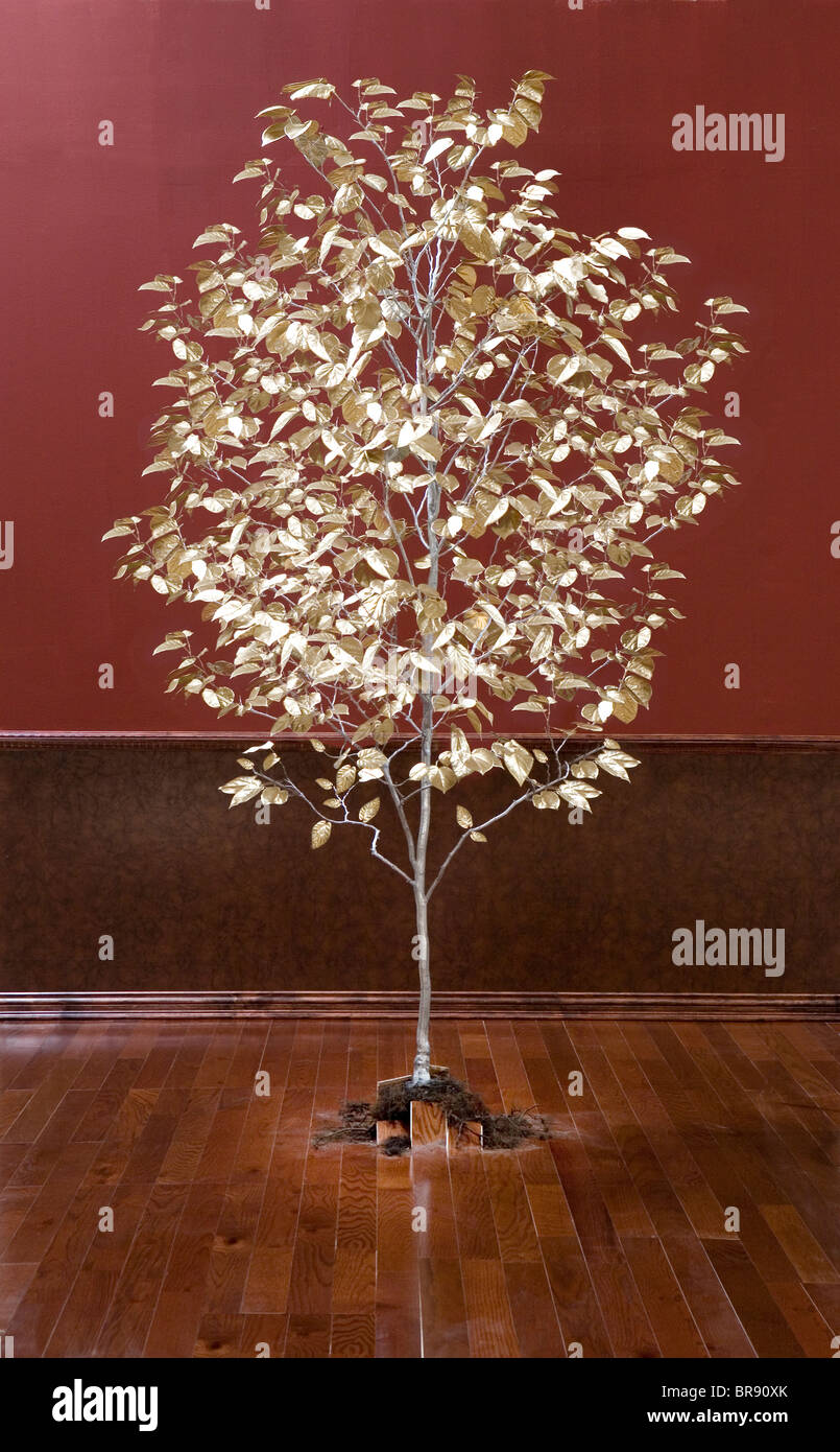 Árbol con hojas doradas que crecen fuera de la planta en una habitación. Foto de stock