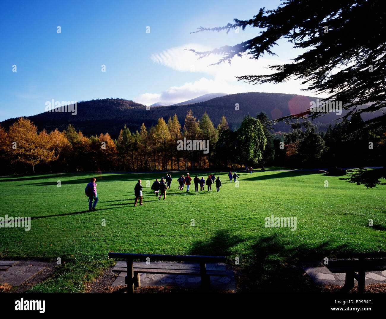 Tollymore parque cerca de Newcastle, Co., Irlanda Foto de stock