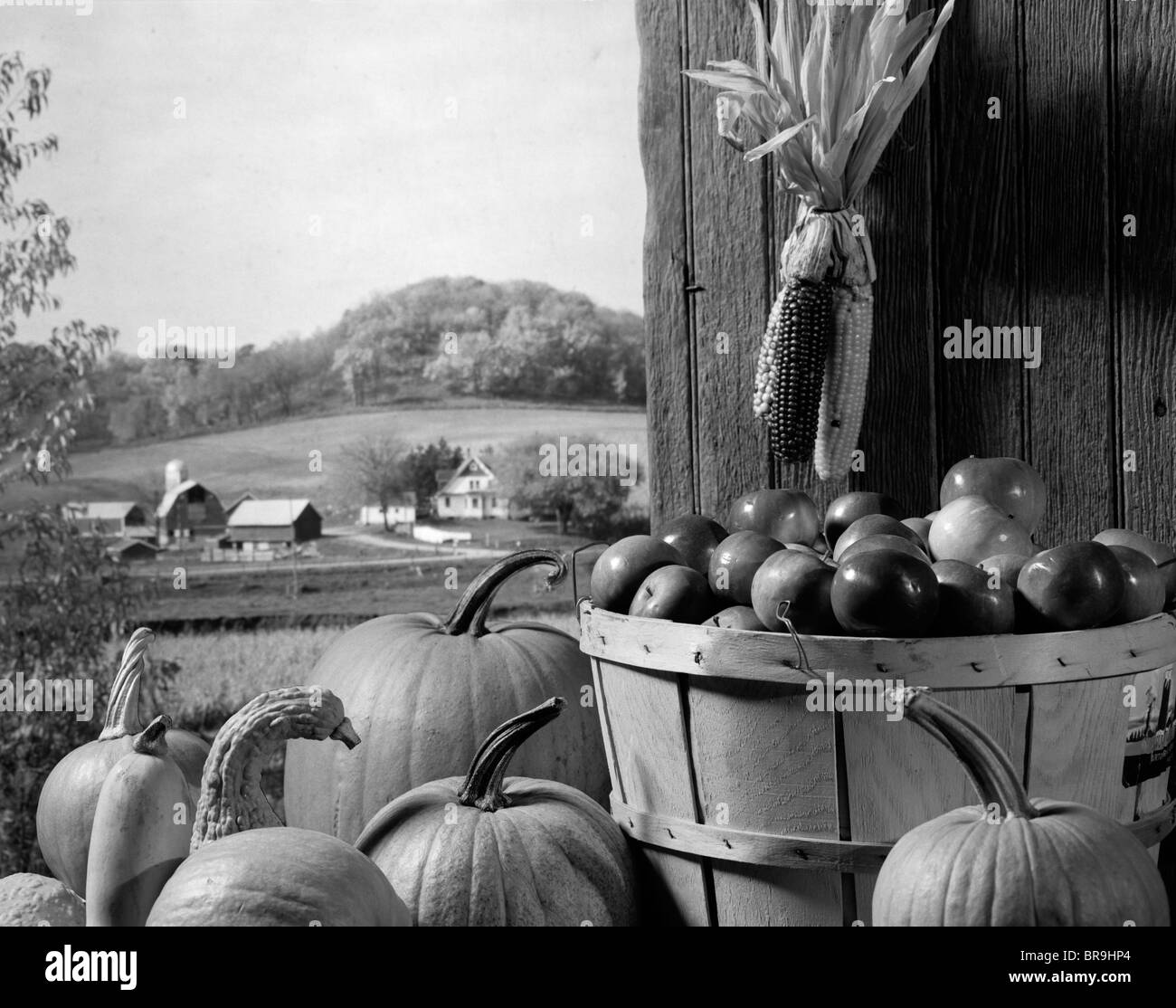 1960 PUERTA DE GRANERO MAÍZ MANZANAS calabazas durante la época de la cosecha de otoño Foto de stock