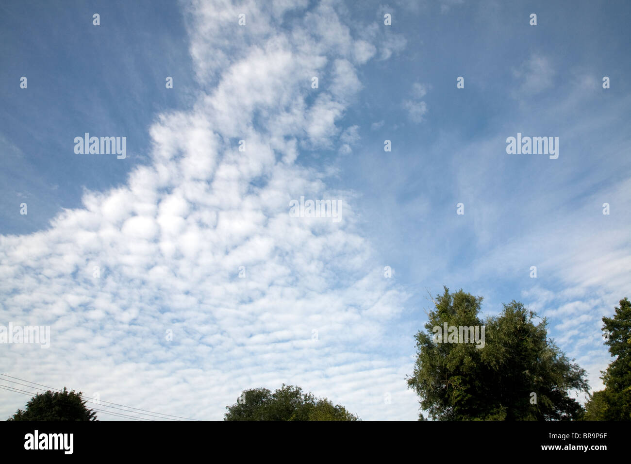 Cirro cúmulos a menudo llamado caballa sky Foto de stock