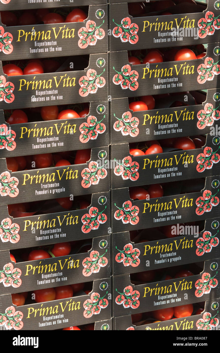 Cajas de tomates Foto de stock