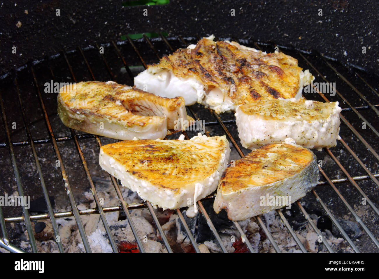 Grillen Fischsteak - filete de pescado cocinado 19 Foto de stock
