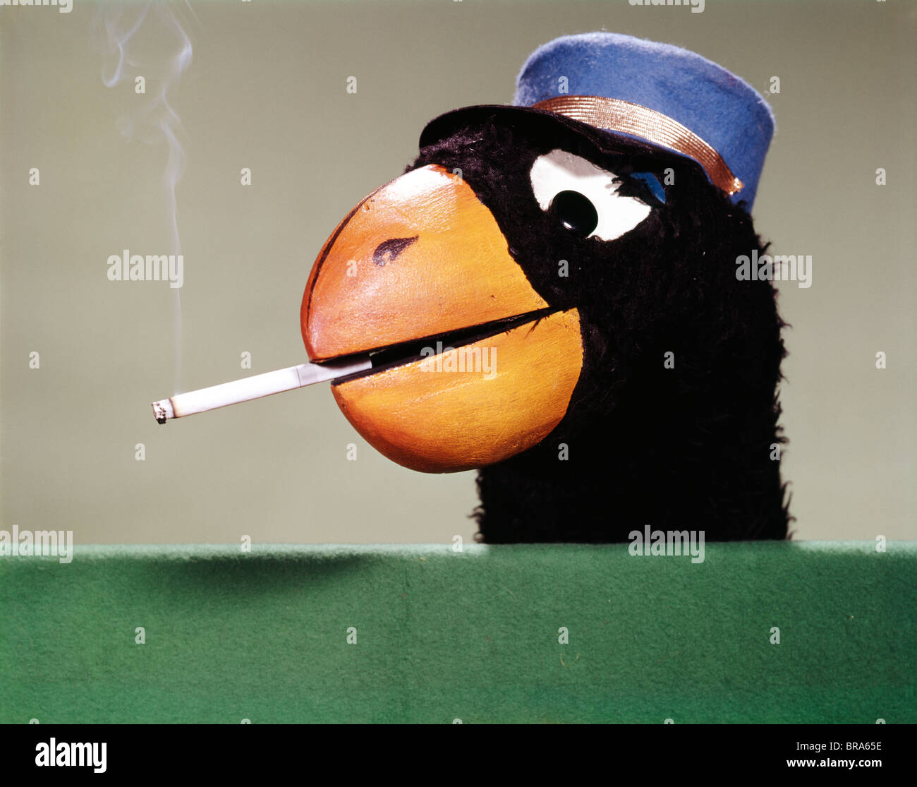 1970 1970 RETRO loro cabeza disfraz fumar tabaco pico pájaro Fotografía de  stock - Alamy