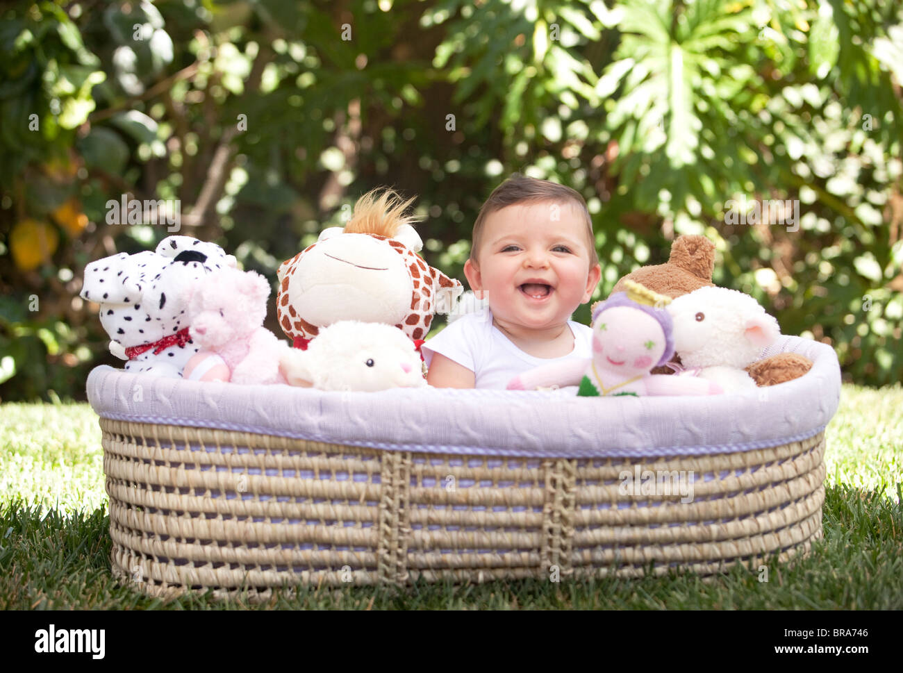 Bebe Feliz En El Canasto Lleno De Juguetes De Peluche Fotografia De Stock Alamy Bebe Feliz En El Canasto Lleno De Juguetes De Peluche Fotografia De Stock Alamy