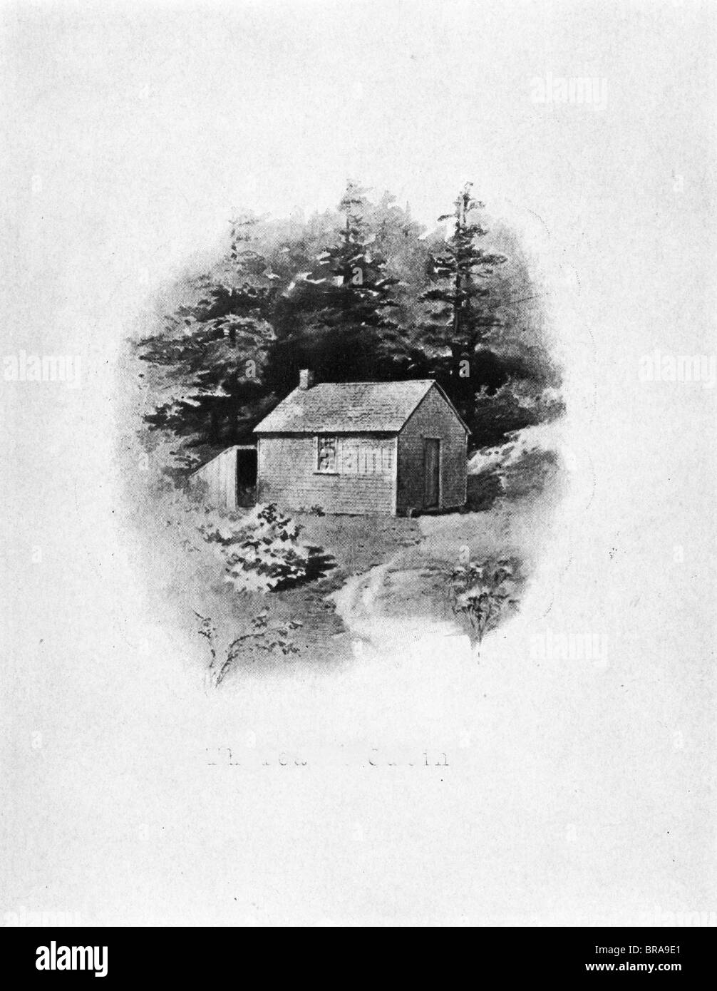 1800 1840S Henry David Thoreau LA CABAÑA EN EL BOSQUE JUNTO A Walden Pond CONCORD MASSACHUSETTS Foto de stock