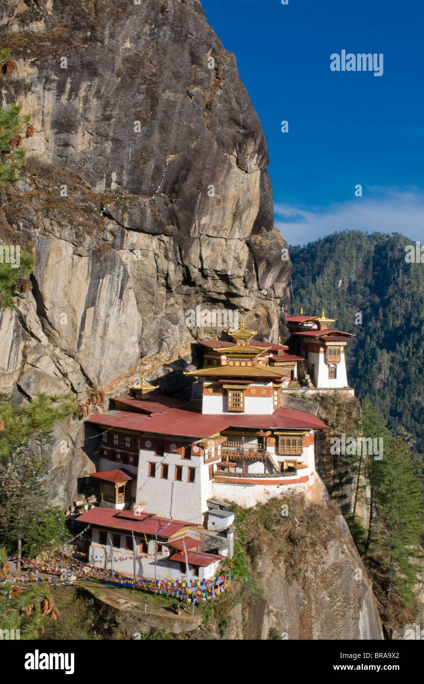 El famoso Goempa Taktshang (Tiger's Nest Monasterio), Bhután, Asia Foto de stock