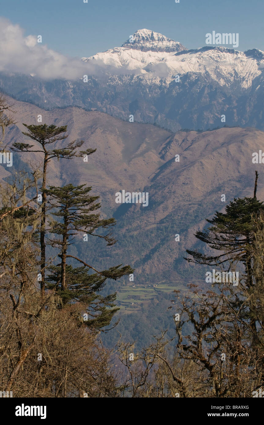 Paisaje de montaña, Pele La (PASS), Bhután, Himalaya, Asia Foto de stock