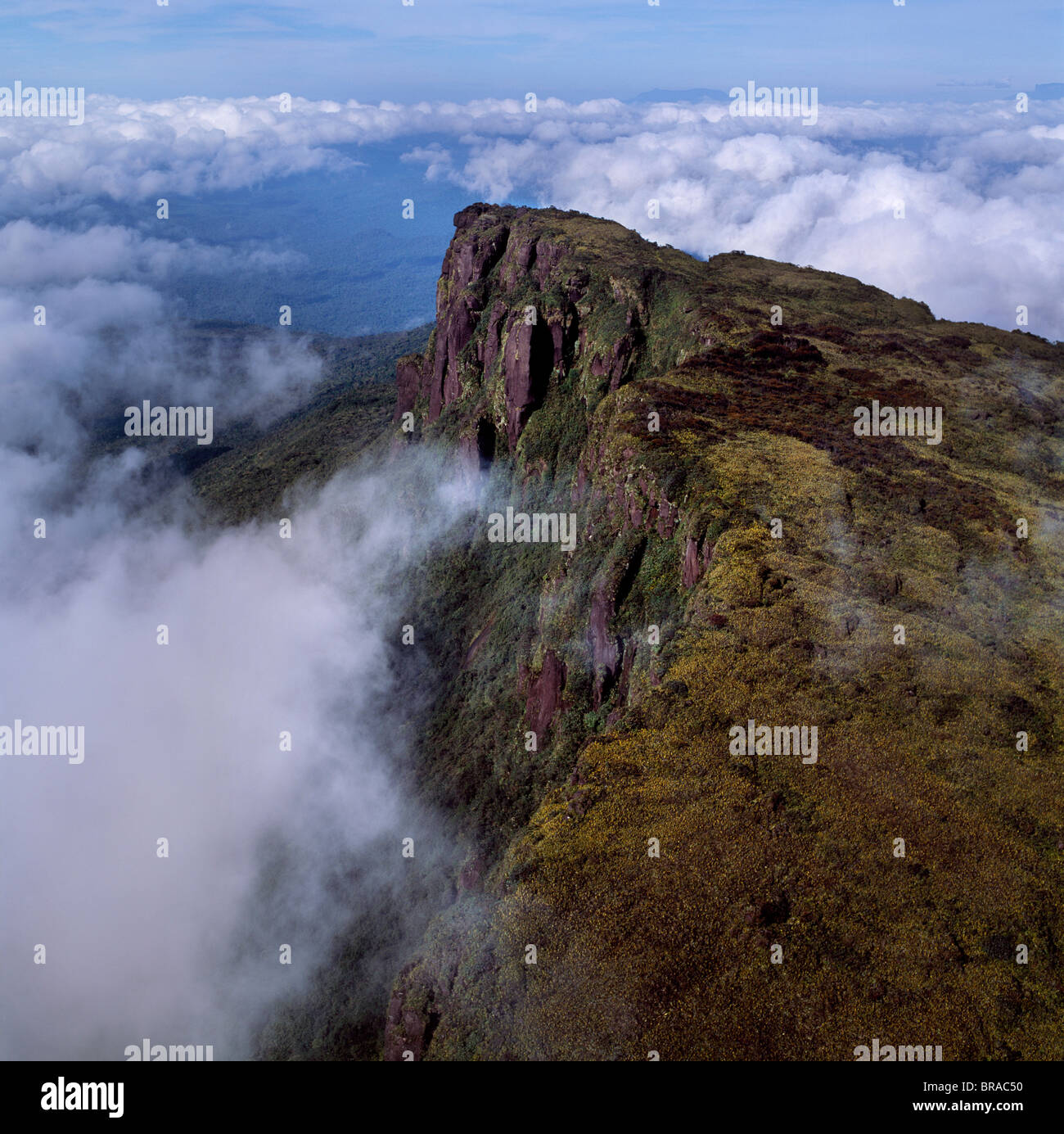 Imagen aérea de Monte Ayanganna, Guyana, Sudamérica Foto de stock