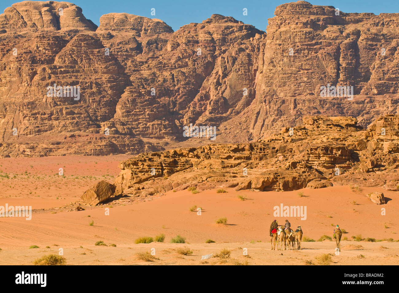 Caravana de camellos en el impresionante paisaje del desierto de Wadi Rum, Jordania, Oriente Medio Foto de stock