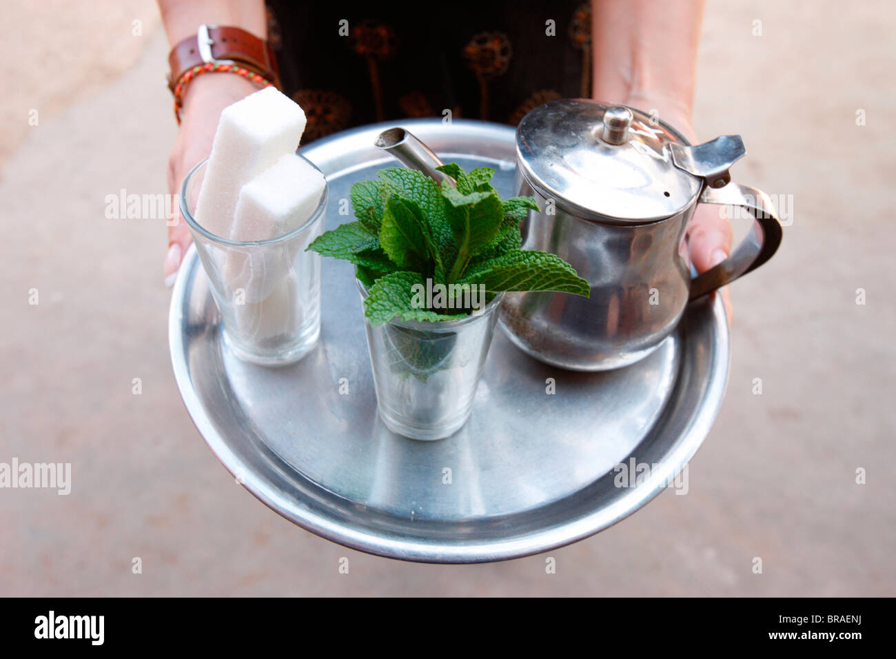 El té de menta, Agadir, Marruecos, Norte de África, África Foto de stock