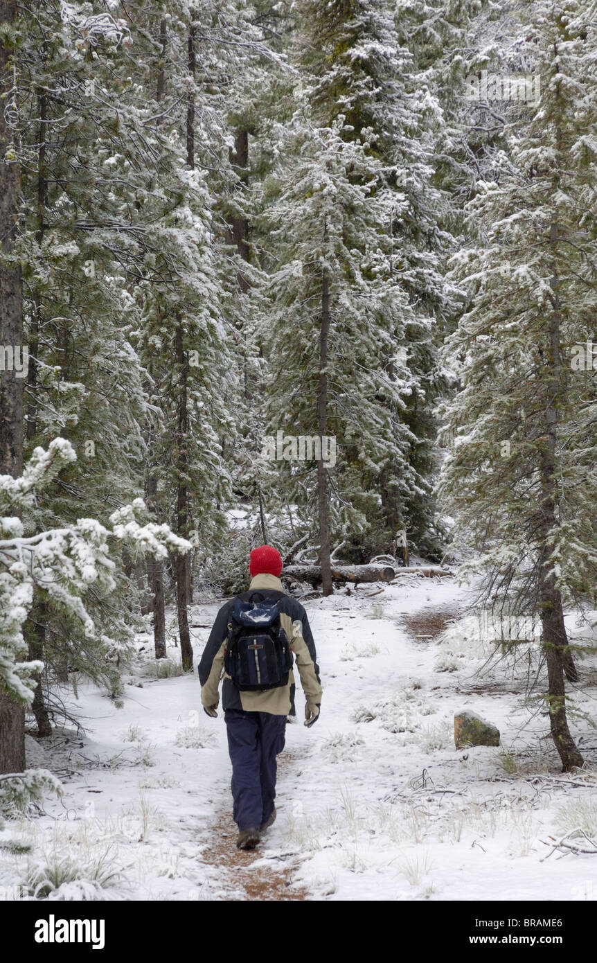 Senderismo en las primeras nieves del invierno, las montañas de diente de sierra, Montañas Rocosas, Idaho, Estados Unidos de América, América del Norte Foto de stock