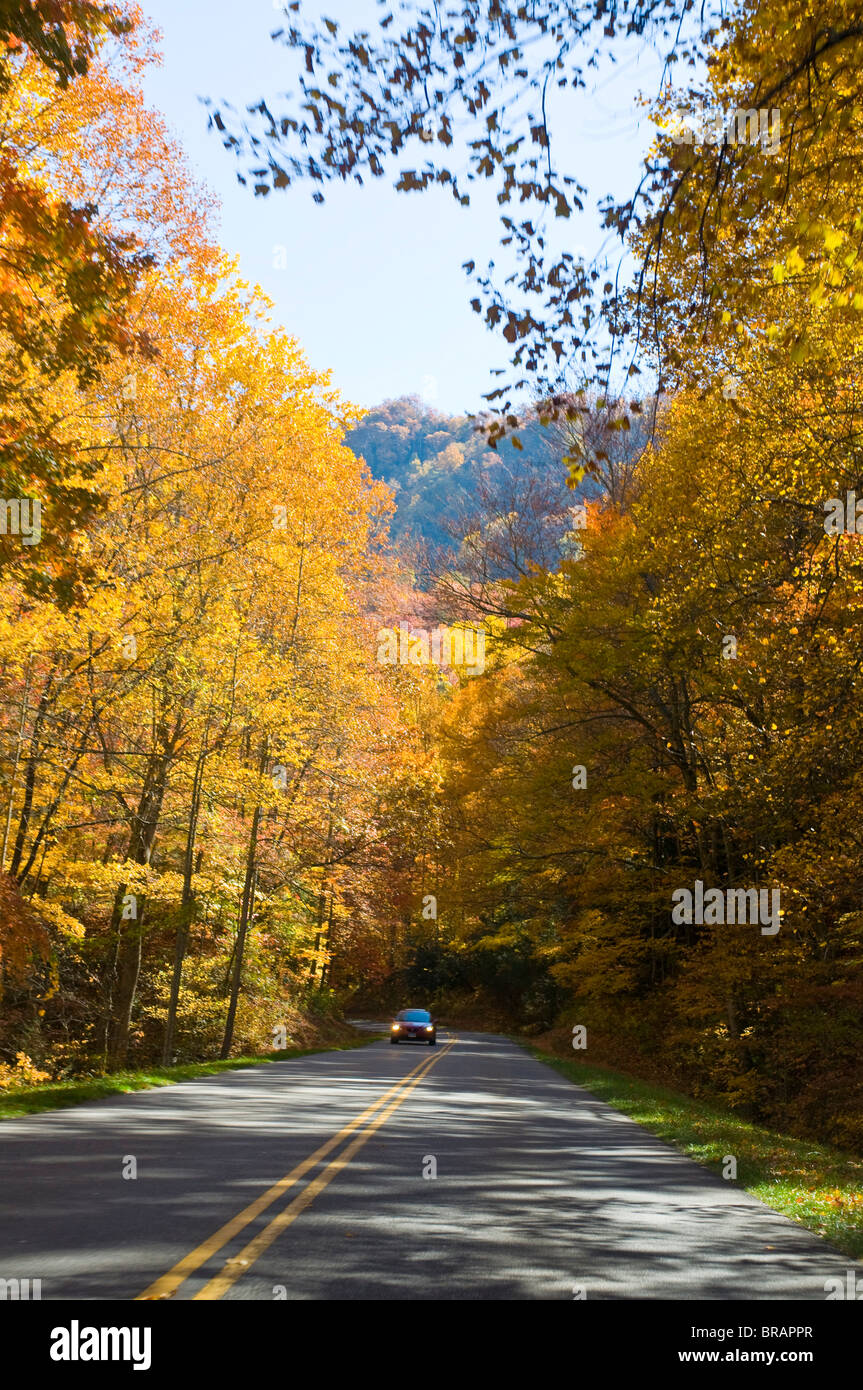 La carretera que conduce a través de colorido follaje en el verano indio, Great Smoky Mountains National Park, Tennessee, EE.UU. Foto de stock