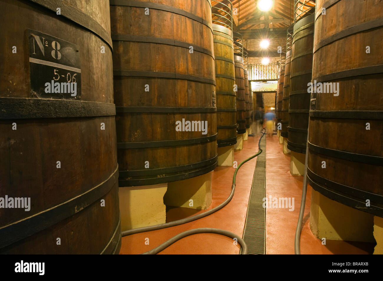 Grandes tanques de roble para la fermentación del vino o del envejecimiento en la Bodega Muga en Haro Village, en La Rioja, al norte de España. Foto de stock