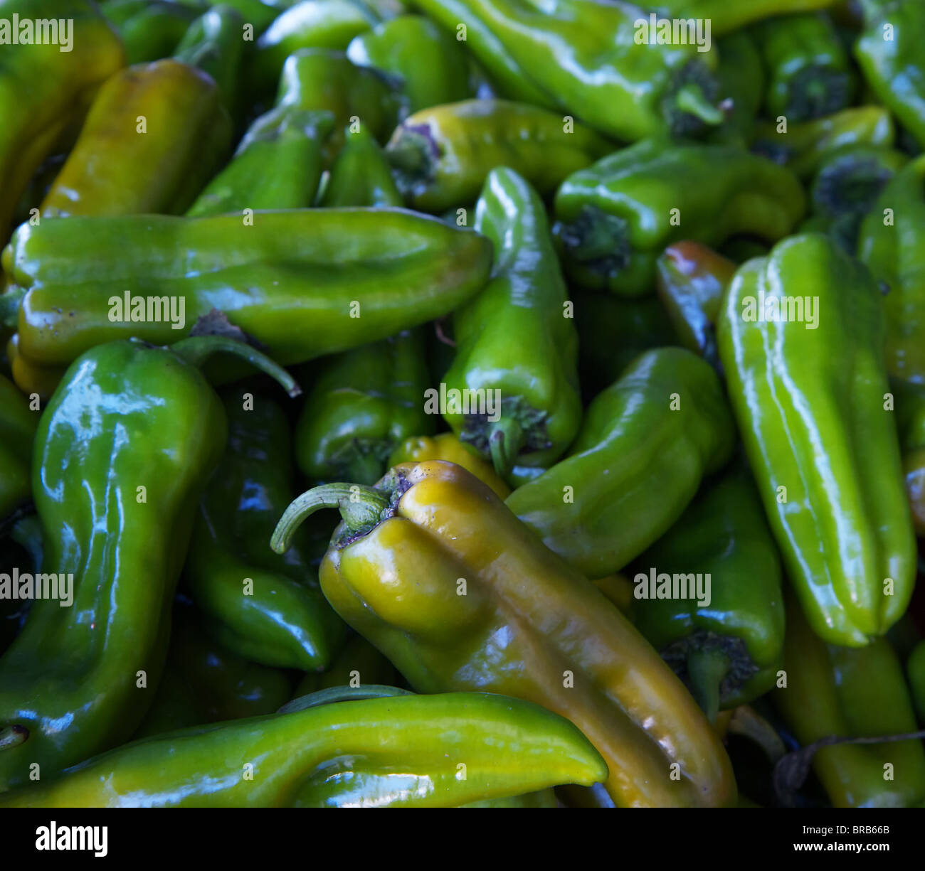 Montón de jalapeño pimientos verdes y amarillos en el mercado de granjeros Foto de stock