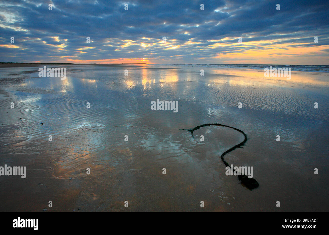 Una vieja cuerda en Brancaster playa en forma de signo de interrogación. Foto de stock