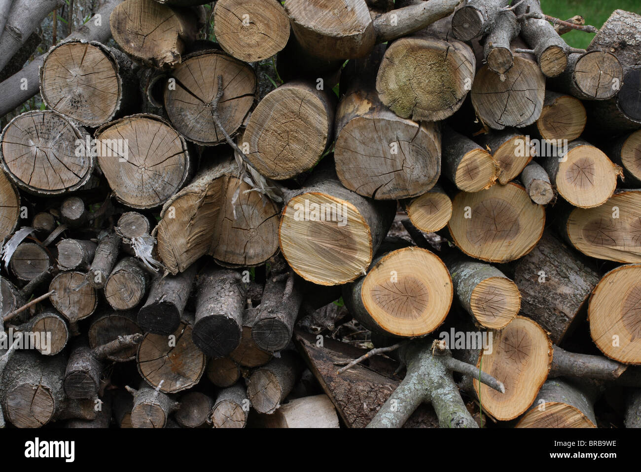 Montón de madera - Leña Foto de stock