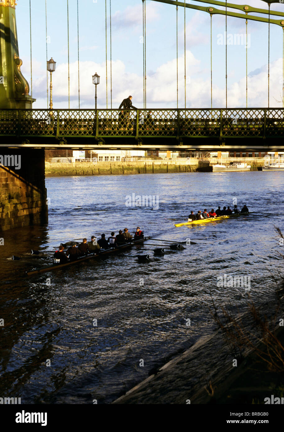 Remo ochos cruzar bajo un puente sobre el río Támesis Foto de stock