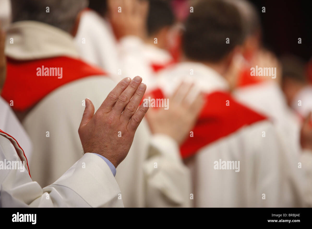 Sacerdote ordenaciones en la Catedral de Notre Dame de Paris, París, Francia Foto de stock