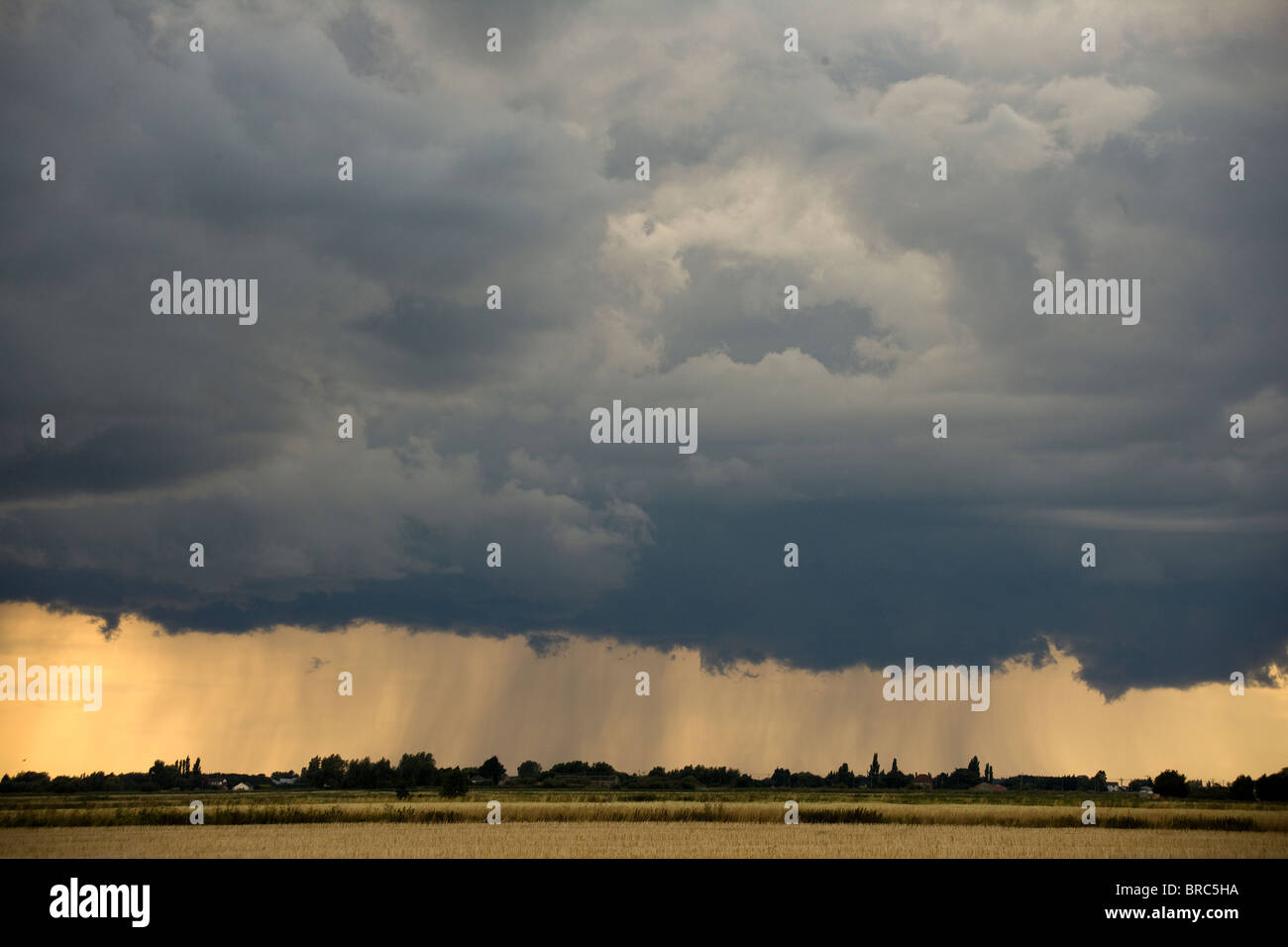 Nubes de lluvia vaciar su contenido sobre las llanuras de Norfolk, Inglaterra, Reino Unido. Foto de stock