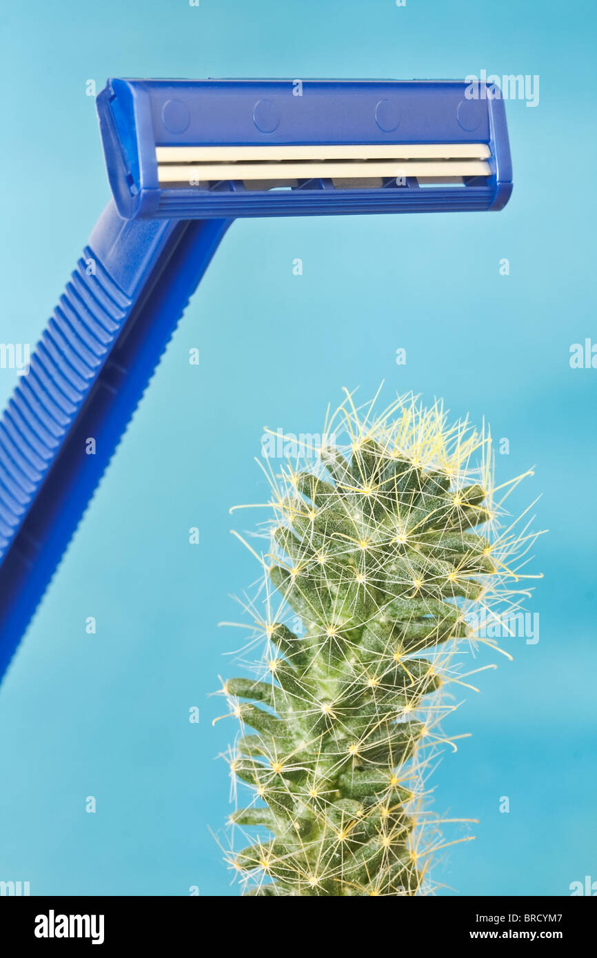 Afeita y seguridad azul verde cactus espinoso - Orientación vertical. Foto de stock