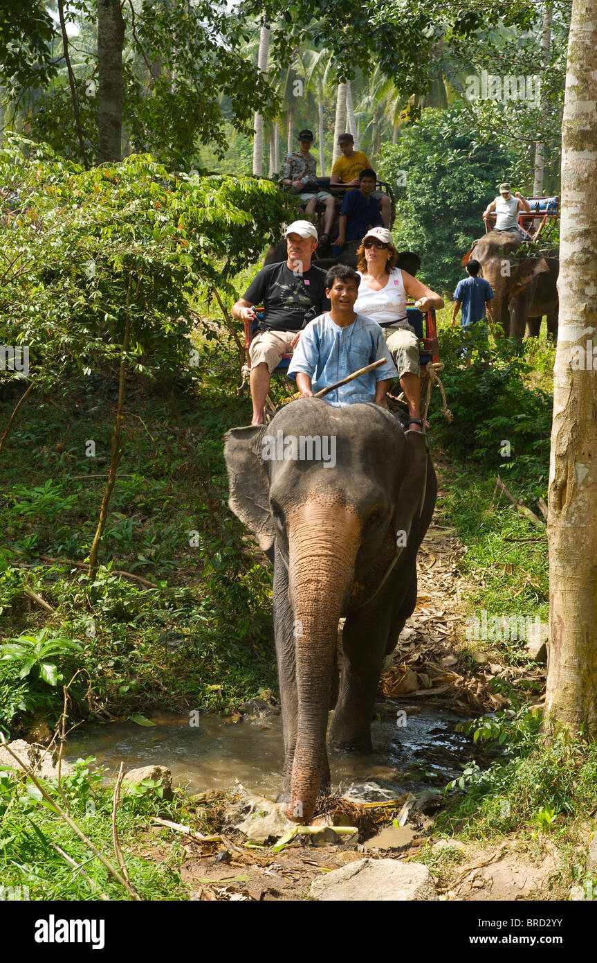 Montar a caballo del elefante, la isla de Ko Samui, Tailandia Foto de stock