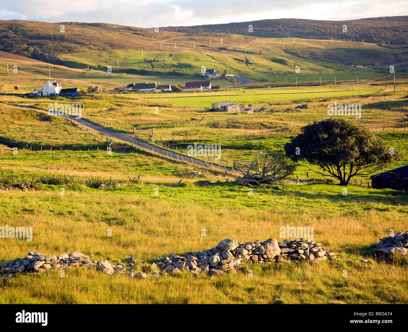 Por la tarde, Wethersta crofting paisaje Peninsular, Islas Shetland, Escocia Foto de stock