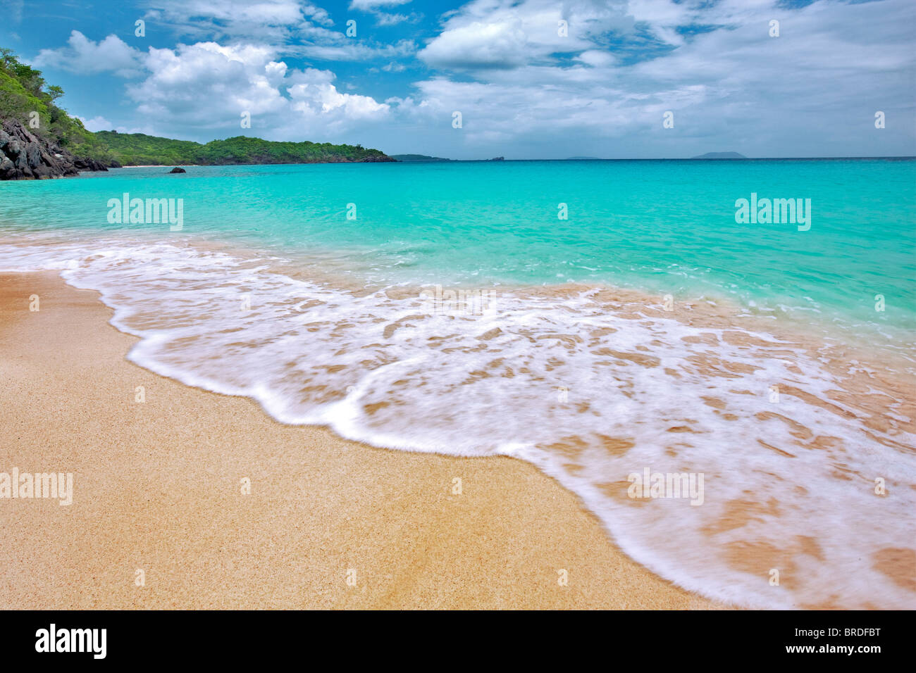 Playa de tronco con onda. Isla de San Juan. Islas Vírgenes de los Estados Unidos. Parque Nacional de las Islas Vírgenes. Foto de stock